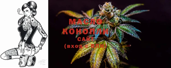 хмурый Медногорск