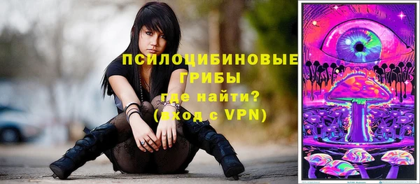 ПСИЛОЦИБИНОВЫЕ ГРИБЫ Мегион
