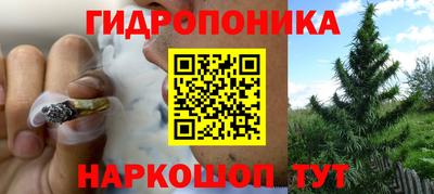 дурь Кулебаки