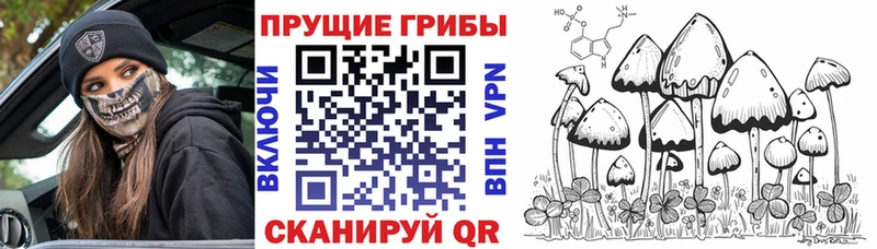 кракен ТОР  Махачкала  маркетплейс формула  Галлюциногенные грибы Cubensis 