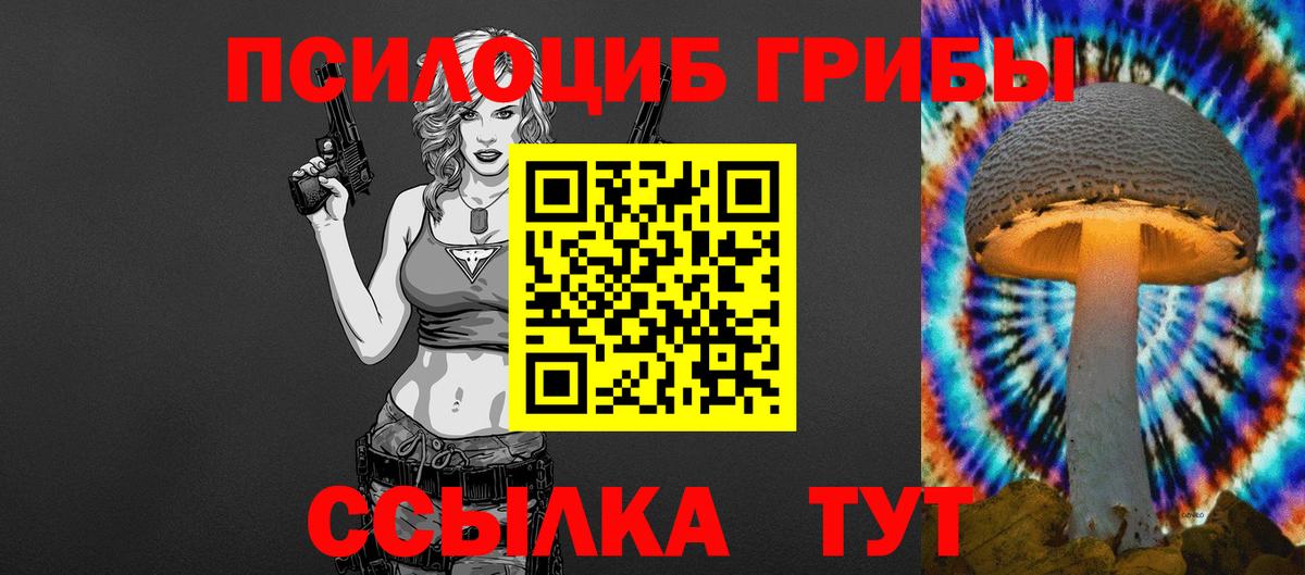 Галлюциногенные грибы Psilocybe Махачкала