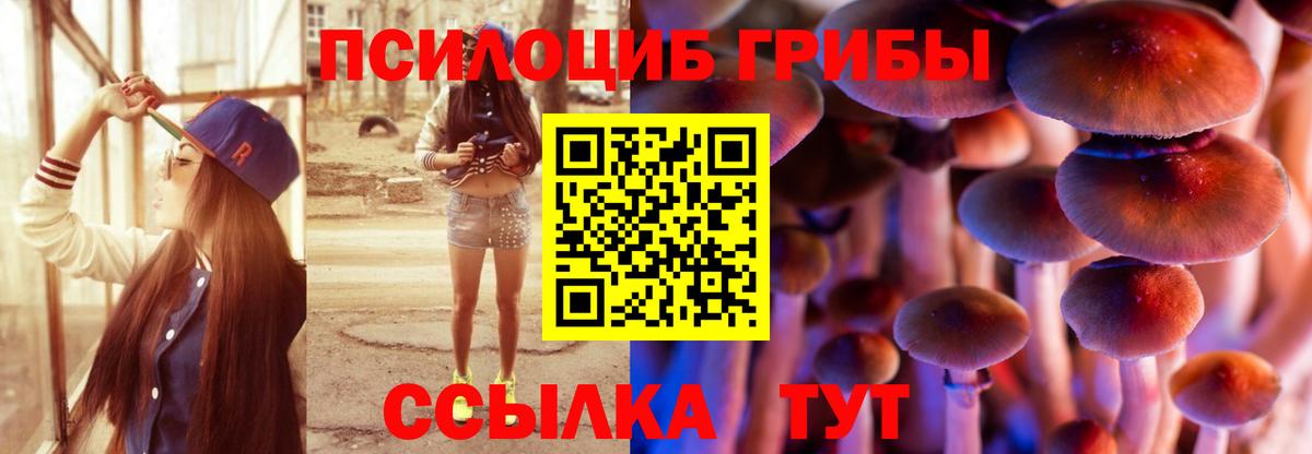 Псилоцибиновые грибы Magic Shrooms  Вход с VPN  Махачкала 